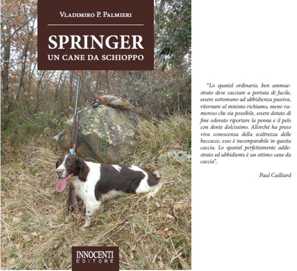 springerfronte